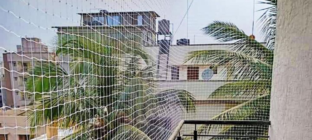 Bird Netting Services Near Me in Hyderabad | Call at 8186016430